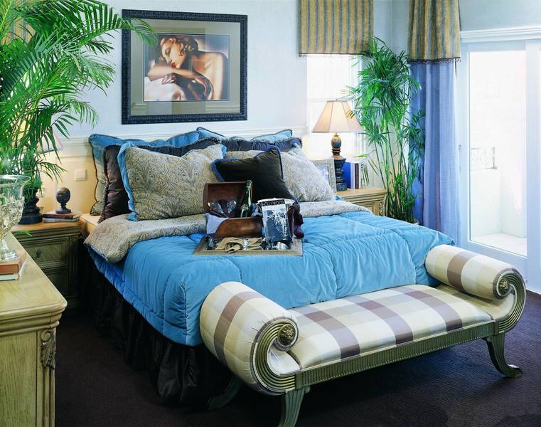 裝修風水：臥室植物哪種好？臥室植物風水有講究